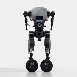 Autonomous  Robot