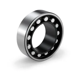Conveyor Bearing