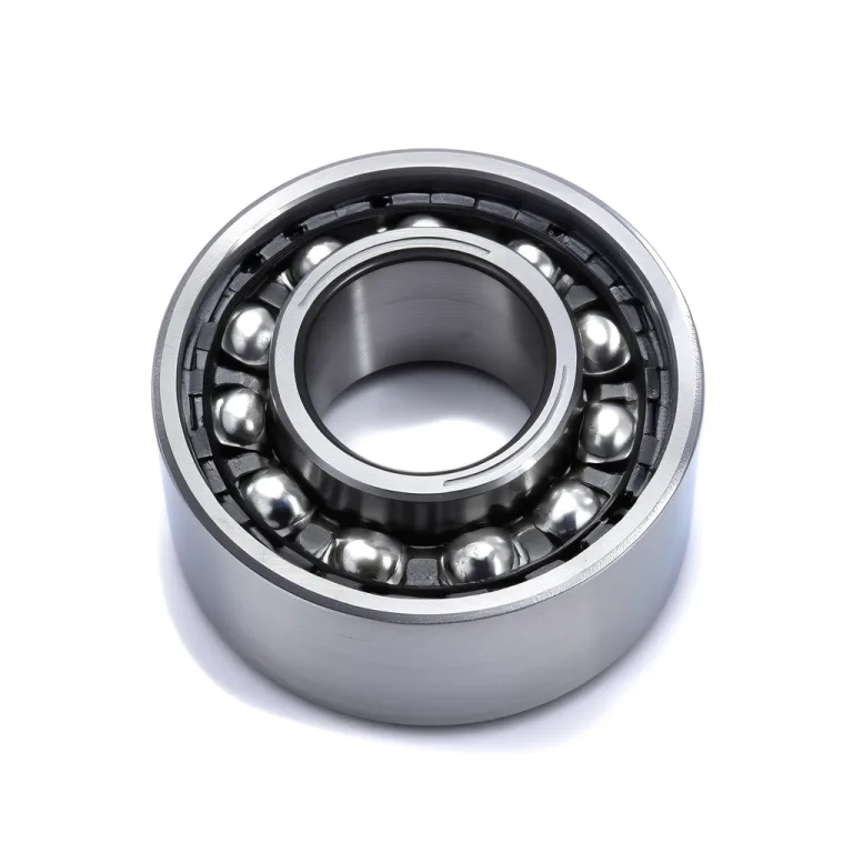 Traction Motor Bearing